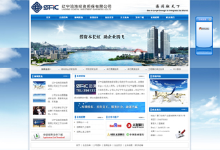 遼寧沿海投資擔(dān)保有限公司網(wǎng)站