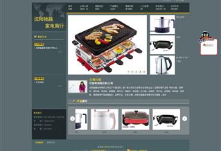 沈陽(yáng)馳越家電商行網(wǎng)站