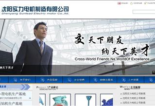 沈陽(yáng)實(shí)力電機(jī)制造有限公司