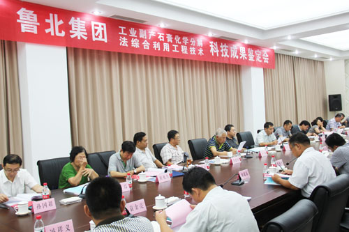 工業(yè)副產(chǎn)石膏綜合利用技術(shù)鑒定會(huì)