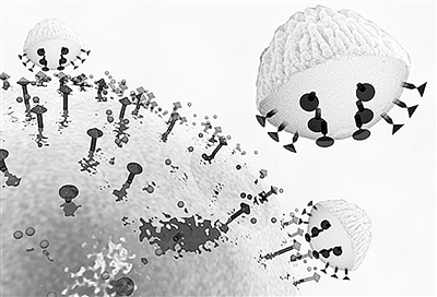 納米顆?？蓽?zhǔn)確識別癌細(xì)胞