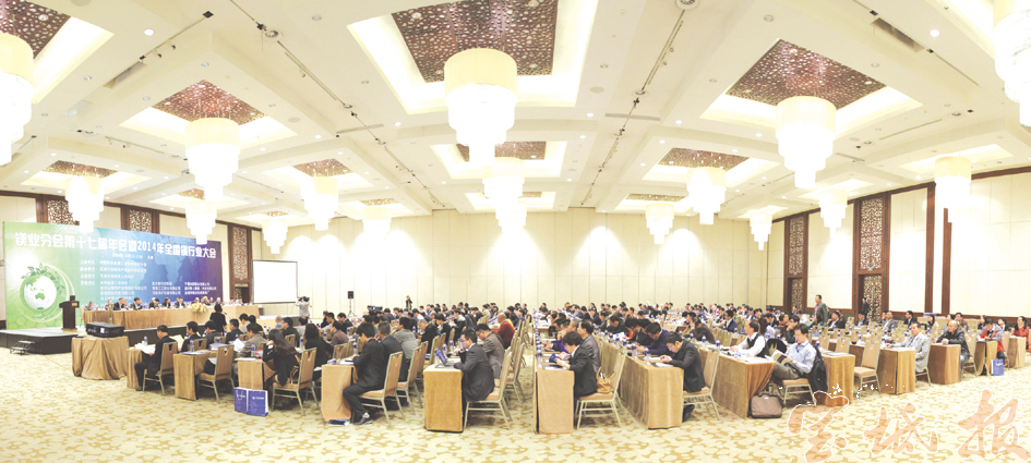 2014年全國鎂行業(yè)大會(huì)在天津順利召開