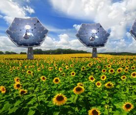 向日葵盤——發(fā)電和淡化飲用水兩用的神器