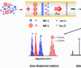 中科院生態(tài)中心研發(fā)出一種納米材料尺寸表征新方法