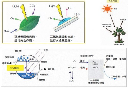 “二氧化鈦+沸石”污水處理技術(shù)：可為全球28億人解渴