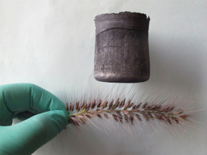 清華大學(xué)石高全課題組成功制備出石墨烯氣凝膠