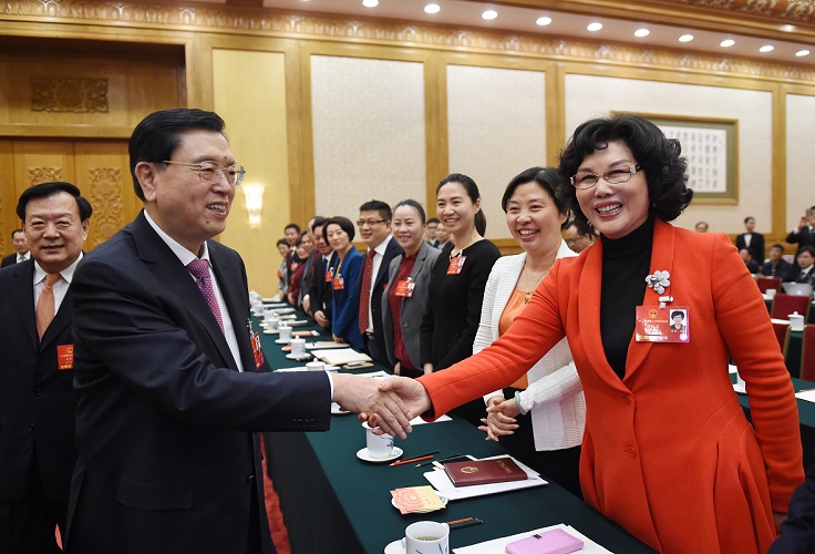 人大代表陳愛(ài)蓮再度建議：從戰(zhàn)略高度重視和促進(jìn)中國(guó)鎂產(chǎn)業(yè)健康發(fā)展