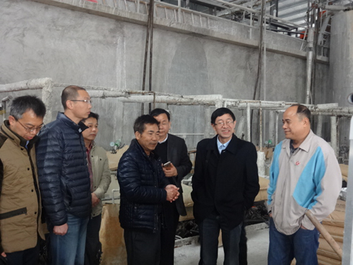 技術(shù)改造促進(jìn)恩平“中國納米碳酸鈣產(chǎn)業(yè)基地”轉(zhuǎn)型升級