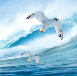 青島海達石墨有限公司