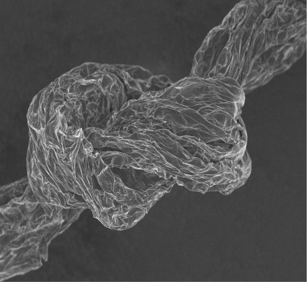 高性能石墨烯纖維研究獲突破