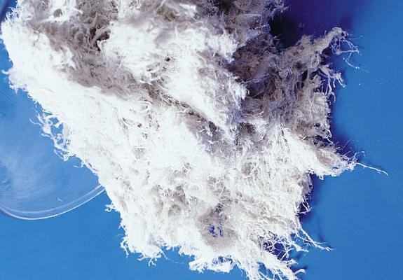 外媒指責(zé)我國無視石棉問題 石棉安全亟待引起重視 