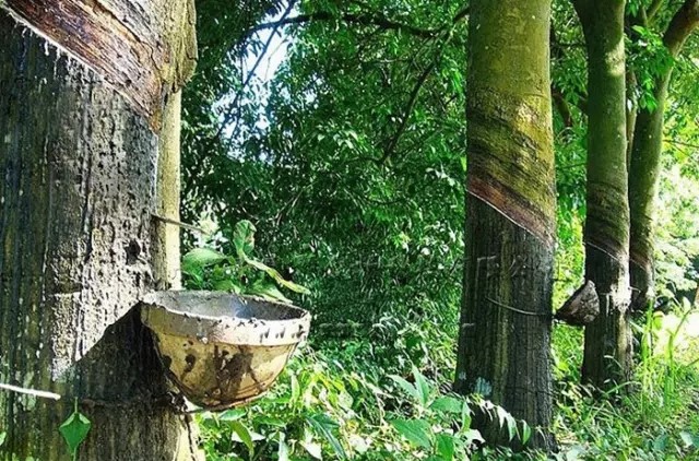 常見橡膠品種化學(xué)組成、性能特點(diǎn)及主要用途