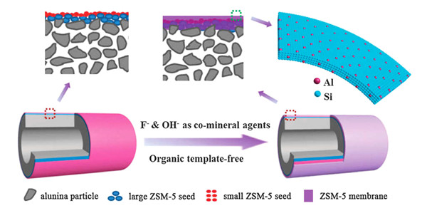 大連理工大學(xué)在耐酸沸石膜微觀結(jié)構(gòu)的設(shè)計與調(diào)控研究取得新進展