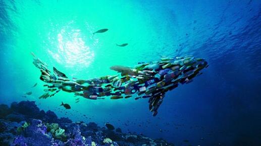 海洋塑料垃圾危害全球！ 清理行動刻不容緩！