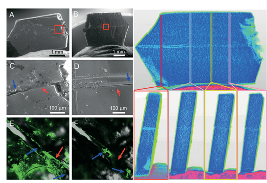 驚！晶體也能自愈合？！