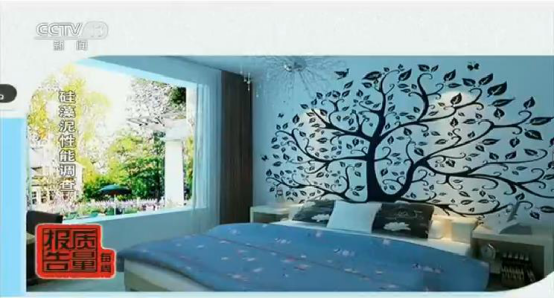 中央電視臺每周質(zhì)量報(bào)告：硅藻泥性能調(diào)查