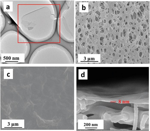 天津大學在氧化石墨烯薄膜研究中取得新進展