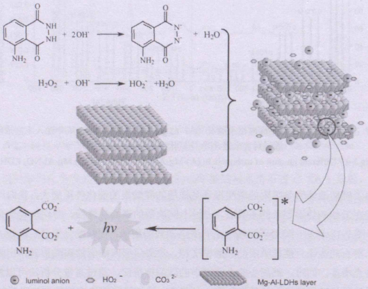 鎂鋁碳酸根水滑石催化魯米諾-過氧化氫化學(xué)發(fā)光體系的反應(yīng)機(jī)理