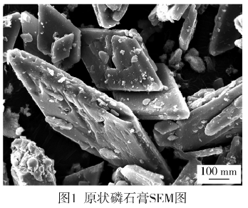 原狀磷石膏SEM圖