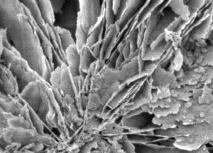 不同晶形碳酸鈣的性質(zhì)及應(yīng)用研究