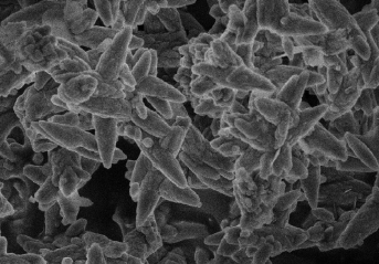 不同晶形碳酸鈣的性質(zhì)及應(yīng)用研究