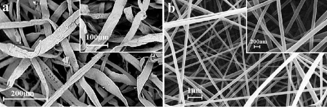 印度開發(fā)出健康環(huán)保吸水納米新材料 可用于衛(wèi)生巾尿不濕