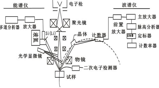 圖1 電子探針儀的結(jié)構(gòu)示意圖