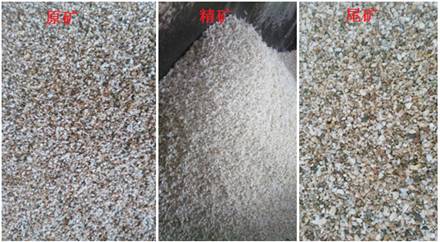 圖2 石英砂色選機入料與產品