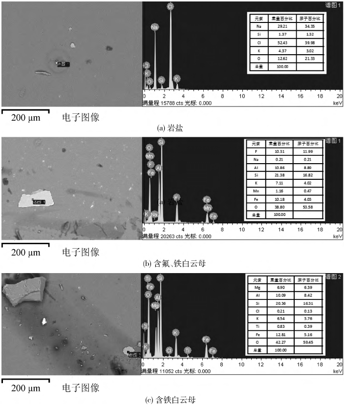 圖3塊狀石英中巖鹽及云母類礦物EMPA-SEI、EDS分析圖譜