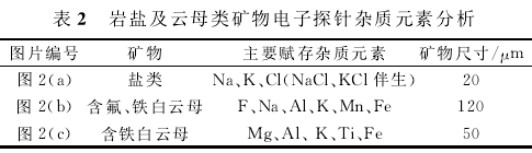 表2 巖鹽及云母類礦物電子探針雜質(zhì)元素分析