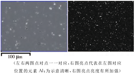  圖6 元素A1面掃描圖像