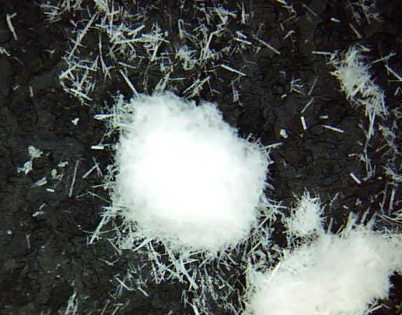 圖3 硫酸鈣晶須