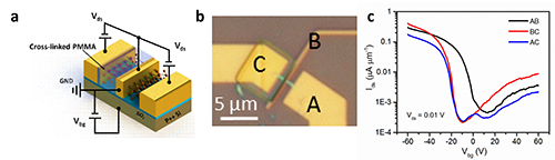 圖1.(a)覆蓋過曝PMMA的黑磷器件與單純黑磷器件串聯(lián)結(jié)構(gòu)示意圖。(b)相應(yīng)器件光學(xué)顯微鏡圖片。(c)圖(b)中所示電極的對應(yīng)器件的轉(zhuǎn)移特性曲線。
