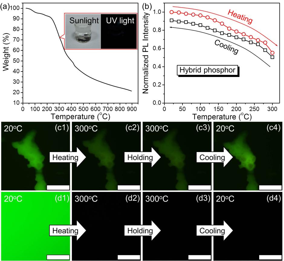 圖3 （a）單純碳納米點的熱失重曲線（b）復合材料的熒光強度隨溫度變化曲線（c）復合材料在不同溫度下的熒光顯微鏡照片（d）熒光色素鈉在不同溫度下的熒光顯微鏡照片