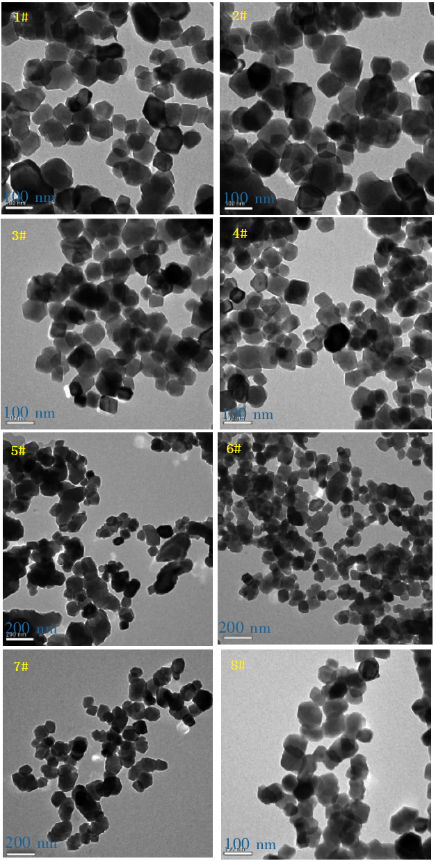 圖3 納米碳酸鈣電鏡照片