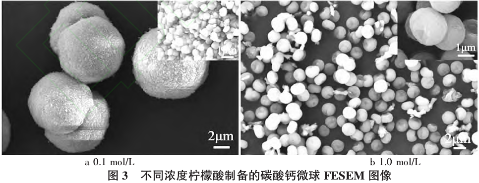 不同濃度檸檬酸制備的碳酸鈣微球FESEM圖像