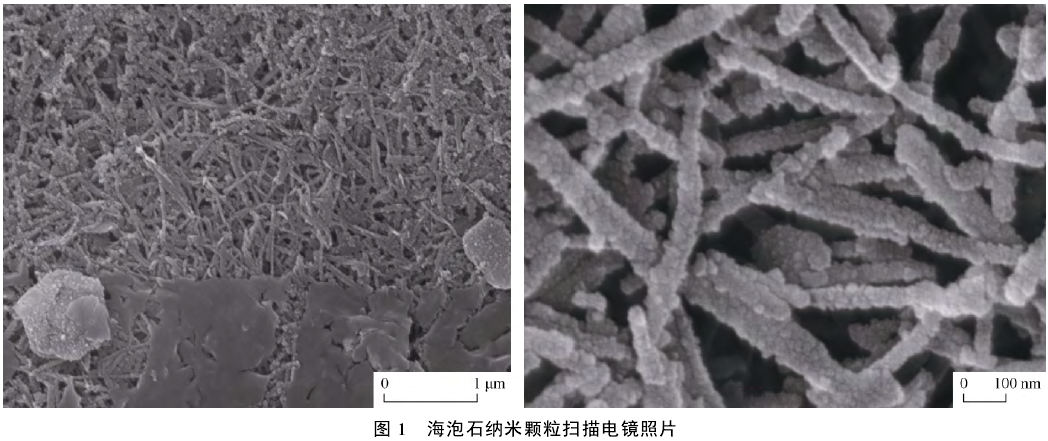 海泡石納米顆粒掃描電鏡照片