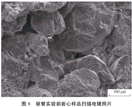 驅(qū)替實(shí)驗(yàn)前巖心樣品掃描電鏡照片