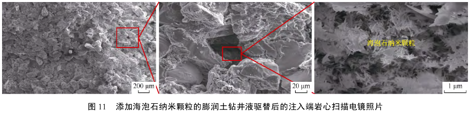 添加海泡石納米顆粒的膨潤土鉆井液驅(qū)替后的注入端巖心掃描電鏡照片