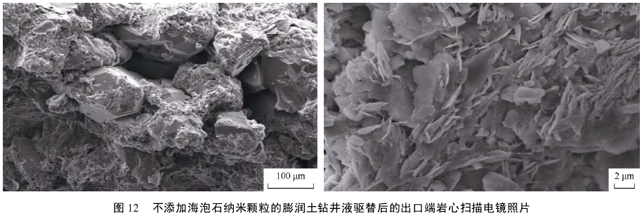 不添加海泡石納米顆粒的膨潤土鉆井液驅(qū)替后的出口端巖心掃描電鏡照片