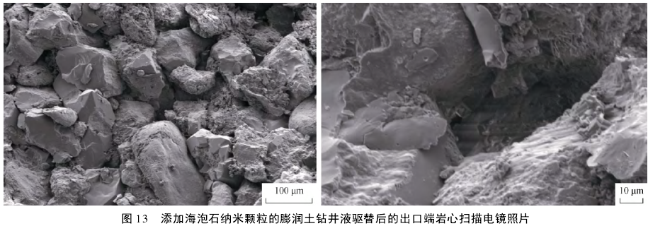 添加海泡石納米顆粒的膨潤土鉆井液驅(qū)替后的出口端巖心掃描電鏡照片