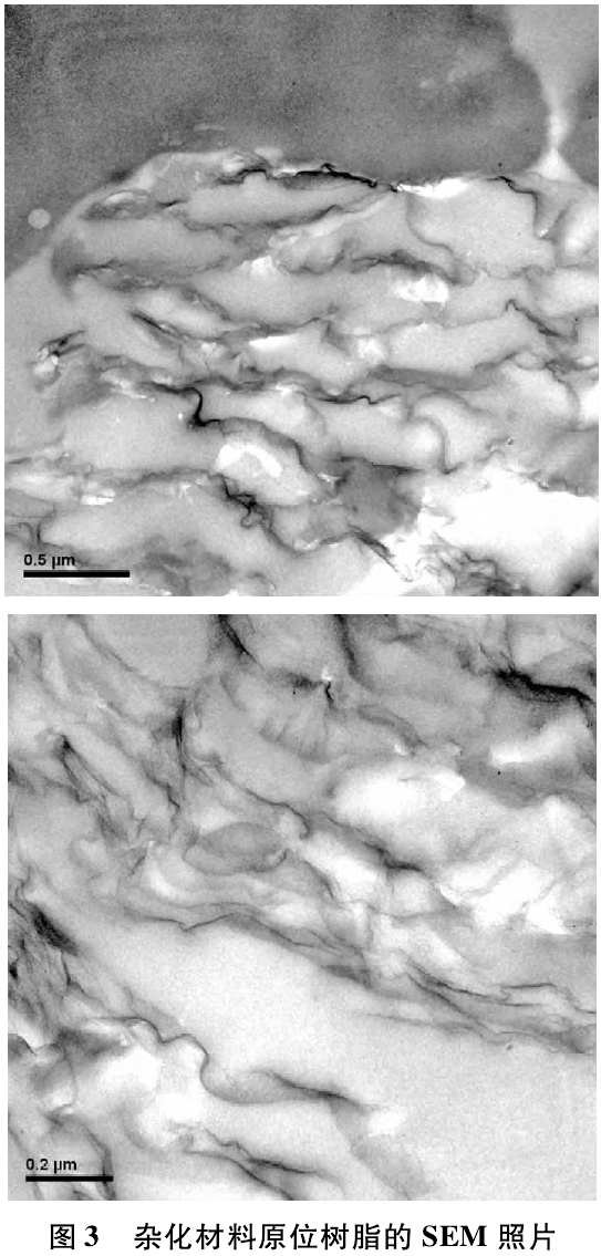 雜化材料原位樹脂的SEM照片