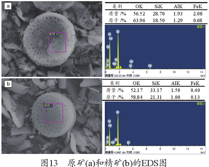 硅藻土EDS圖
