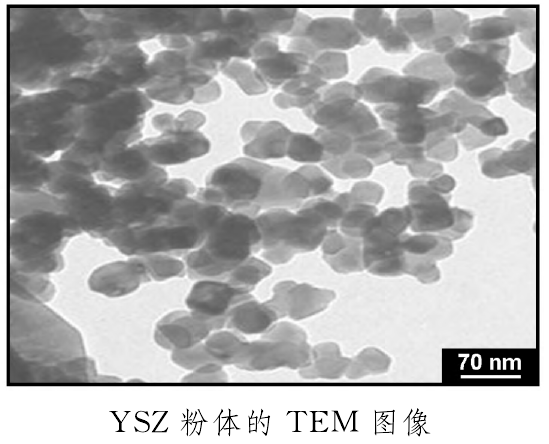 YSZ粉體的TEM圖