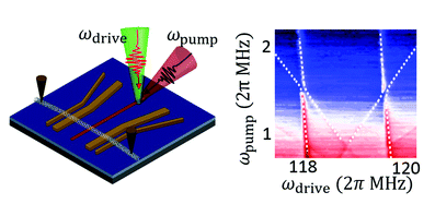 碳納米管中兩個機(jī)械模式的強(qiáng)耦合 