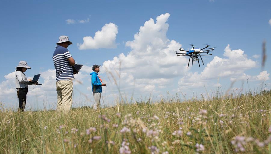 開(kāi)展生態(tài)草牧業(yè)試驗(yàn)示范，有效遏制天然草地退化現(xiàn)象