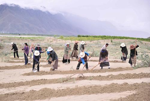 發(fā)布《西藏生態(tài)安全屏障保護(hù)與建設(shè)工程（2008-2014年）建設(shè)成效評(píng)估》