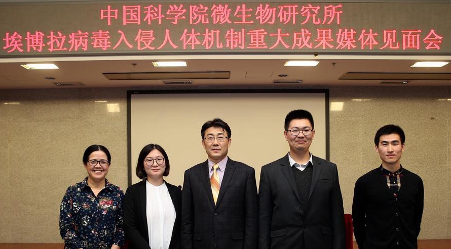 中科院學(xué)者揭示了埃博拉病毒入侵人體細(xì)胞模式