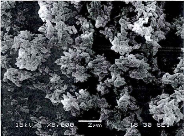 紡錘形碳酸鈣SEM圖