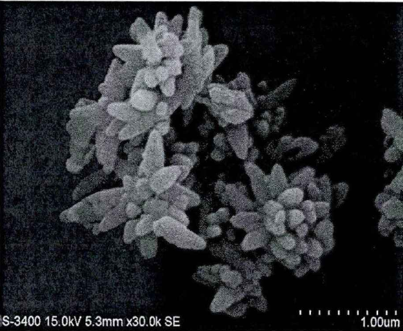 添加聚乙二醇制備的紡錘形碳酸鈣SEM圖